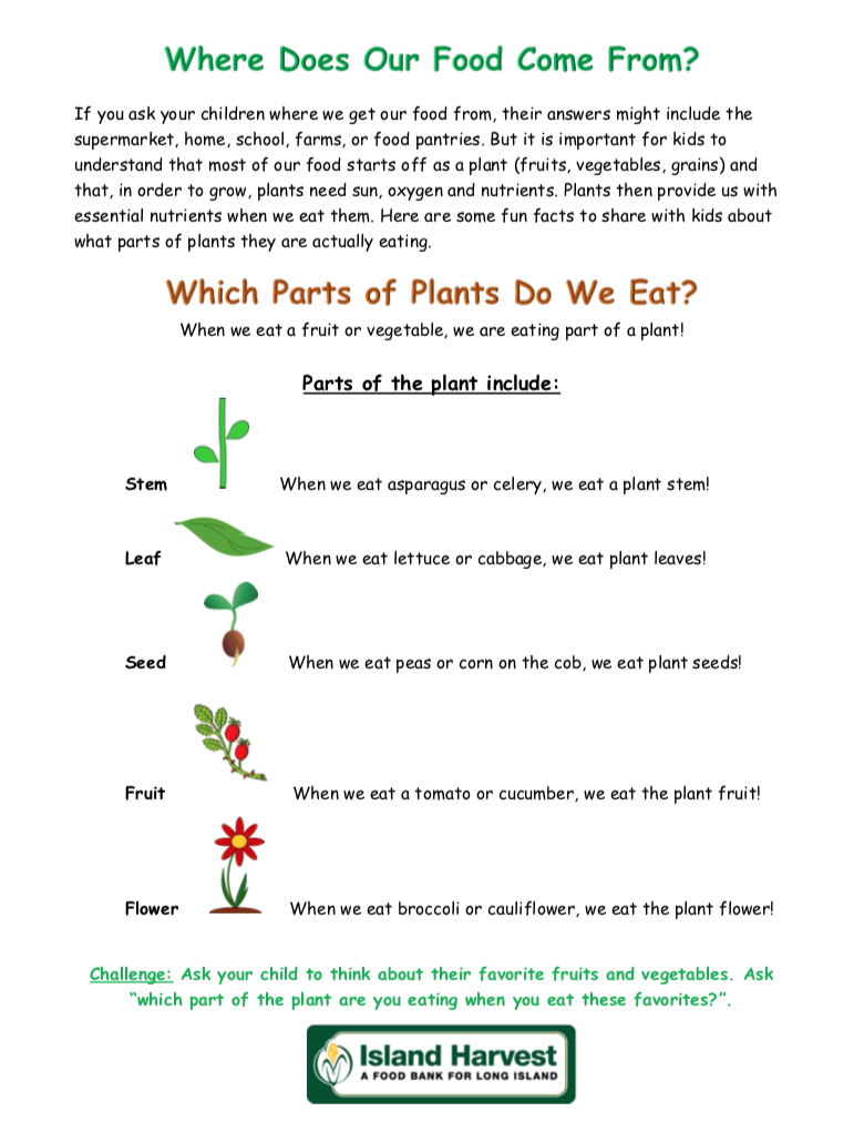 Plant Food Science_web (1)